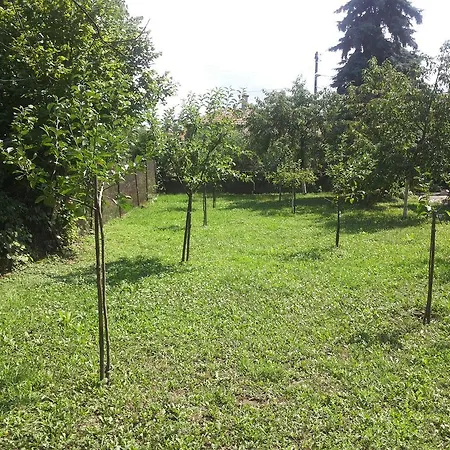 Guest house Nadejda Pavel Banya