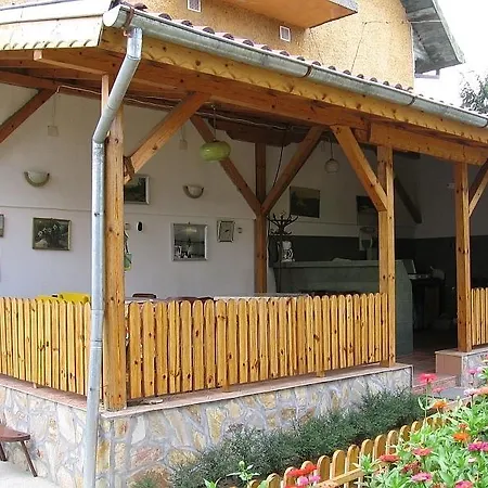 Nadejda Pavel Banya